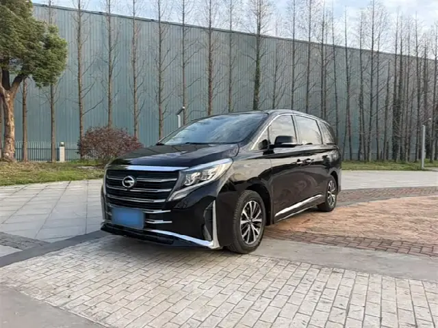 GAC Trumpchi M8 2021, 69 300 км