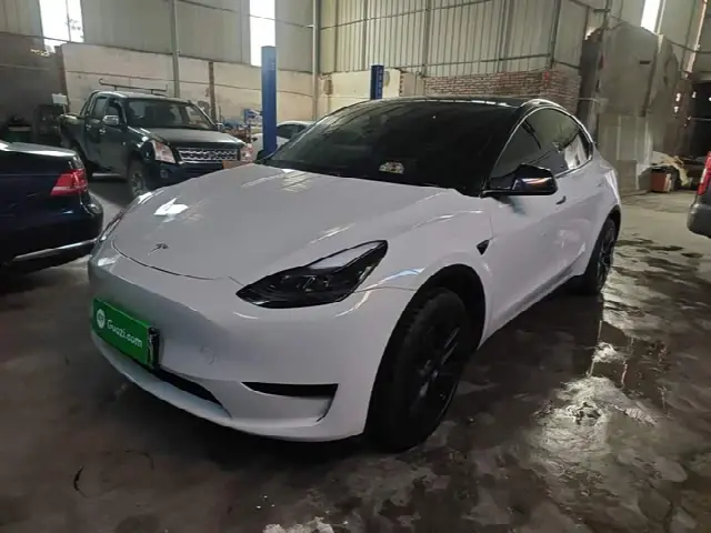 Tesla Model Y 2024, 58 200 км