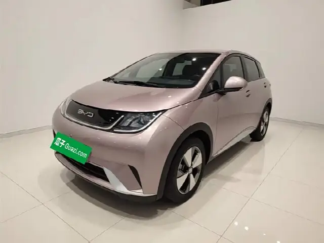 BYD Dolphin 2023, 32 800 км