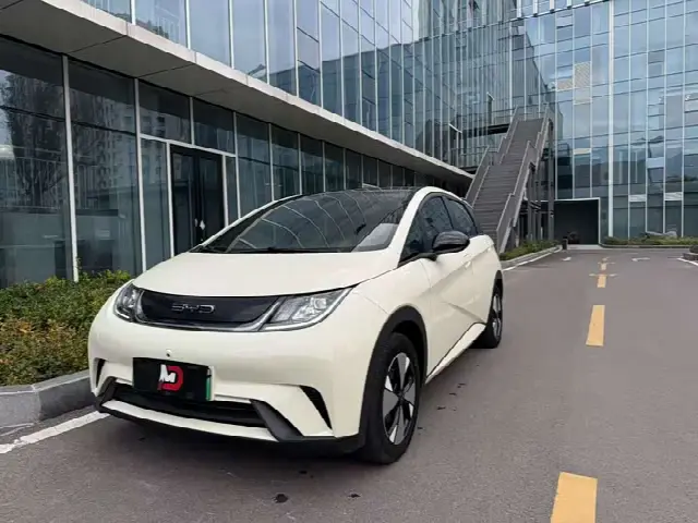 BYD Dolphin 2023, 50 000 км
