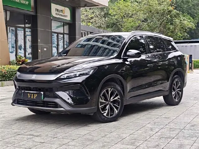 BYD Song Pro Hybrid 2025, 28 000 км