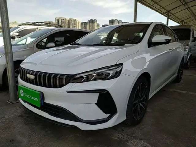 Geely Binrui 2024, 100 км