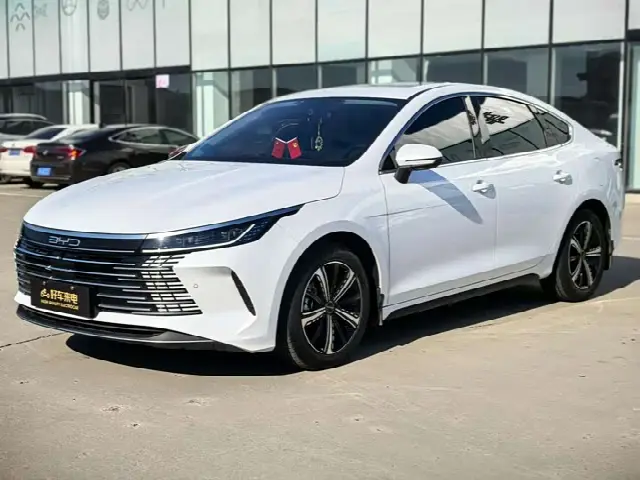 BYD Destroyer 05 2022, 48 800 км