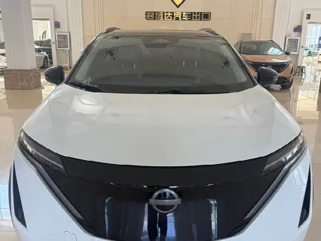 Nissan Ariya EV 2022, 80 000 км
