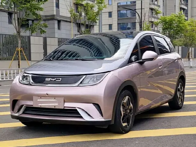 BYD Dolphin 2021, 57 000 км