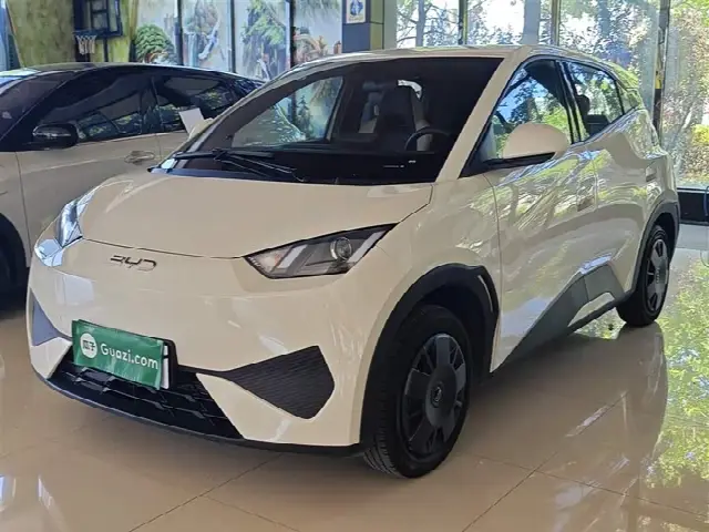 BYD Seagull 2025, 13 600 км