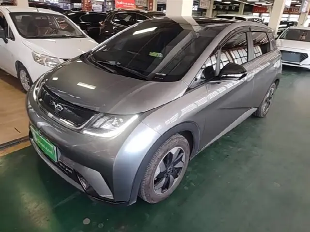 BYD Dolphin 2024, 33 900 км