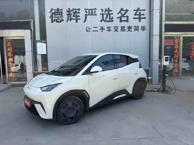 BYD Seagull 2023, 28 000 км