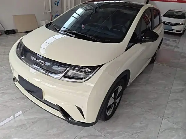 BYD Dolphin 2023, 21 400 км