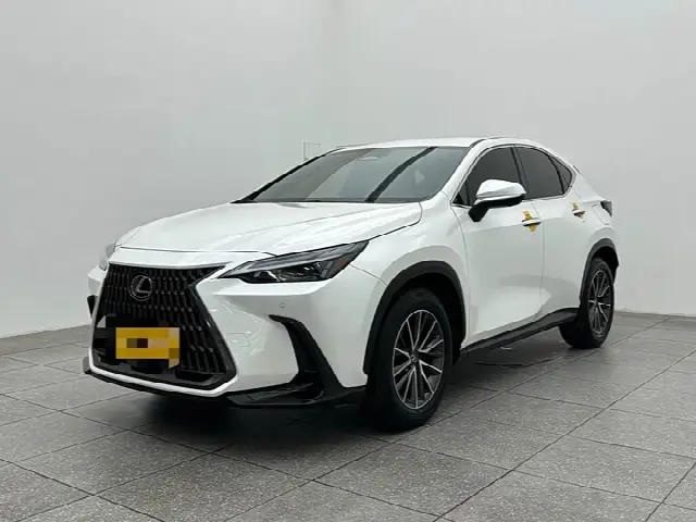 Lexus NX 2023, 29 200 км