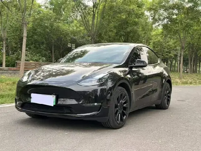 Tesla Model Y 2022, 93 100 км