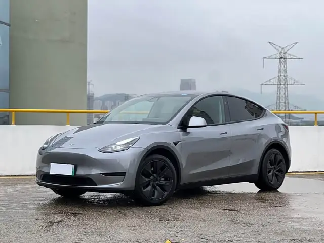 Tesla Model Y 2024, 45 000 км
