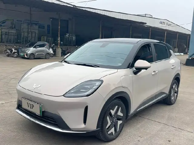 Wuling Bingo S 2025, 10 000 км