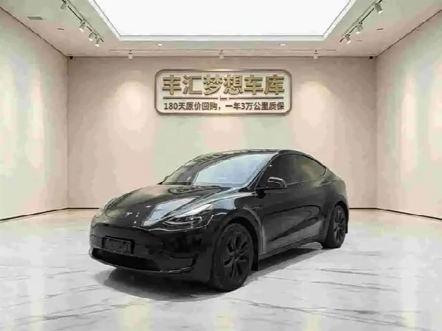 Tesla Model Y 2024, 54 000 км