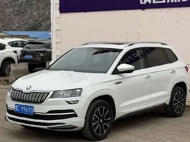 Skoda Karoq 2023, 8 000 км