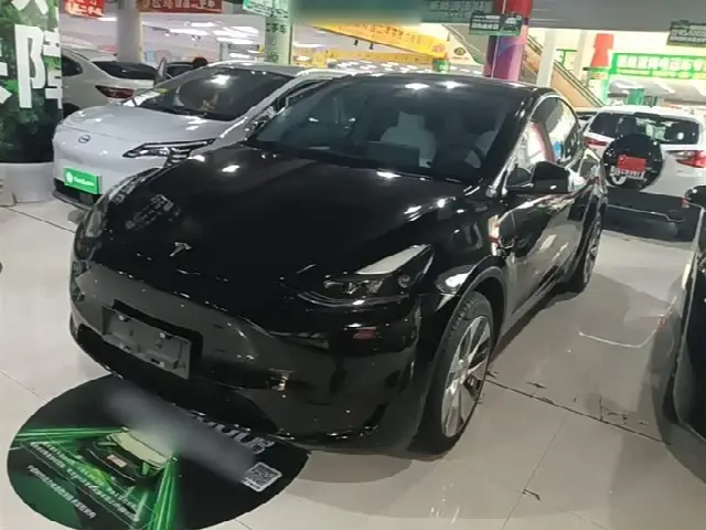 Tesla Model Y 2022, 96 900 км