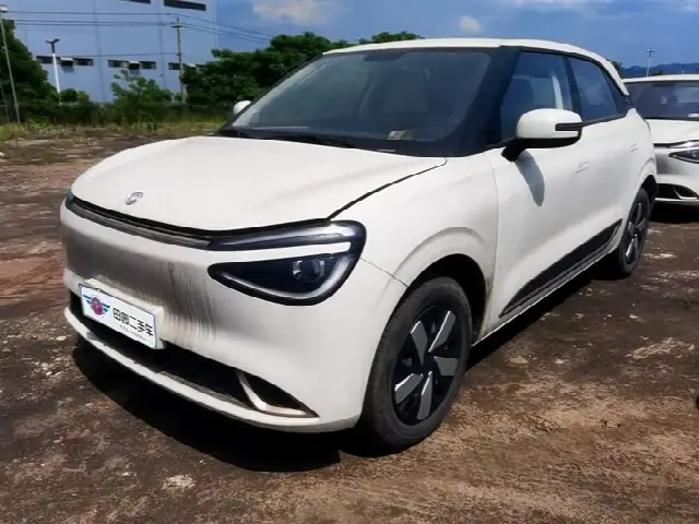 Dongfeng Yipai Nano 01 2024, 30 000 км