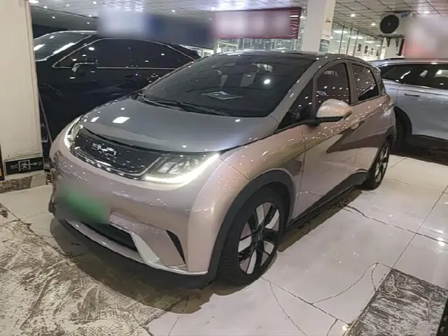 BYD Dolphin 2021, 72 900 км
