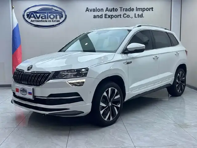 Skoda Karoq 2024, 23 000 км