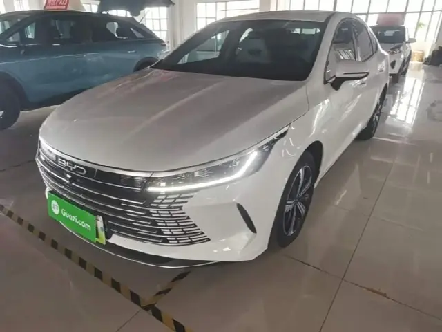 BYD Destroyer 05 2024, 34 200 км