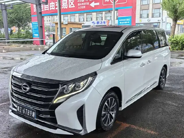 GAC Trumpchi M8 2021, 100 000 км