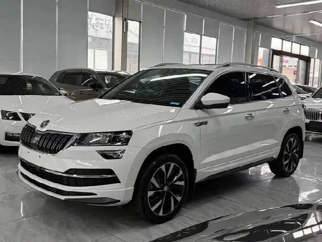 Skoda Karoq 2022, 18 000 км
