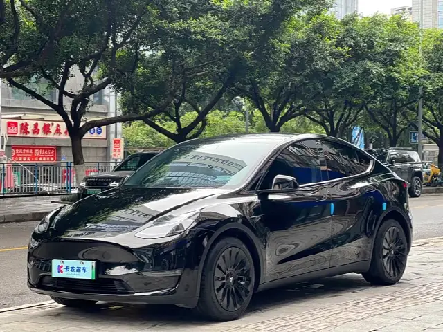 Tesla Model Y 2022, 55 000 км