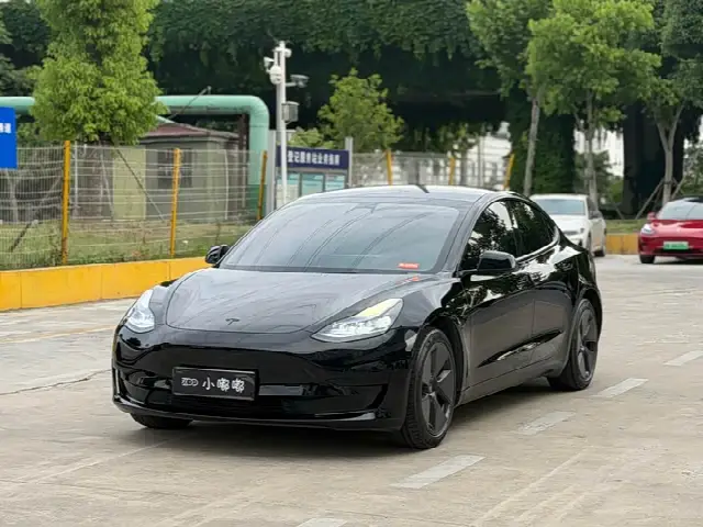 Tesla Model 3 2022, 99 000 км