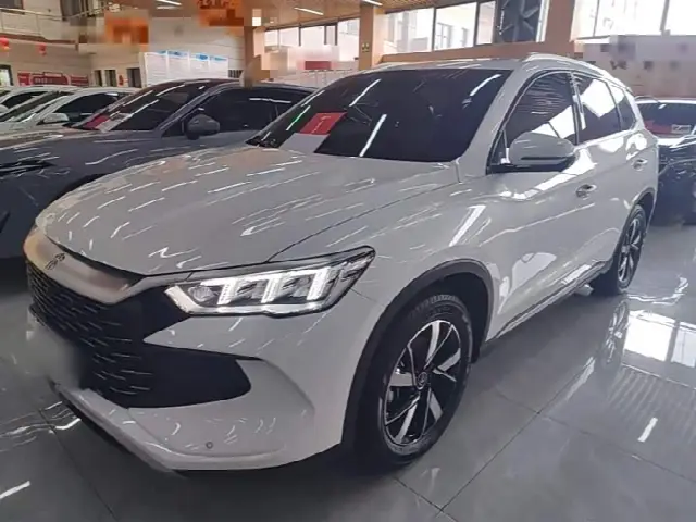 BYD Song Pro Hybrid 2024, 24 900 км