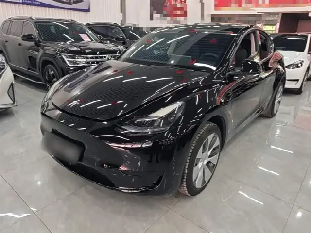 Tesla Model Y 2022, 54 600 км