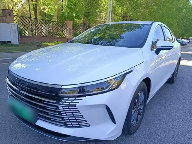 BYD Destroyer 05 2024, 44 300 км