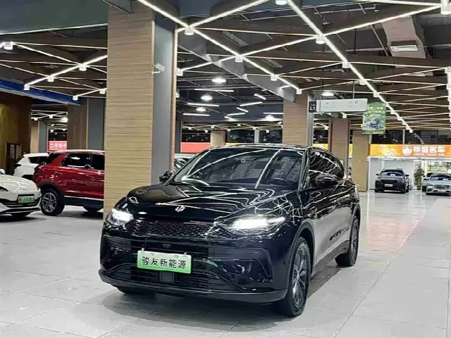 Leapmotor C11 2023, 74 000 км