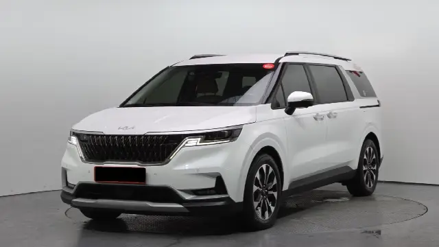 Kia Carnival 2020, 14 386 км