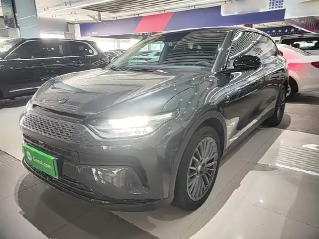 Leapmotor C11 2023, 46 600 км