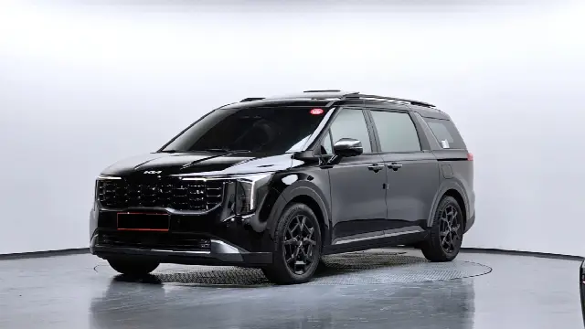 Kia Carnival 2023, 28 602 км