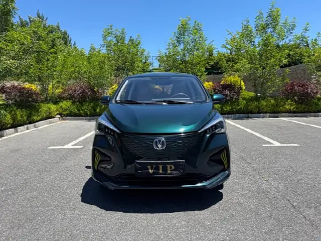 Changan BenBen E-Star 2022, 20 000 км