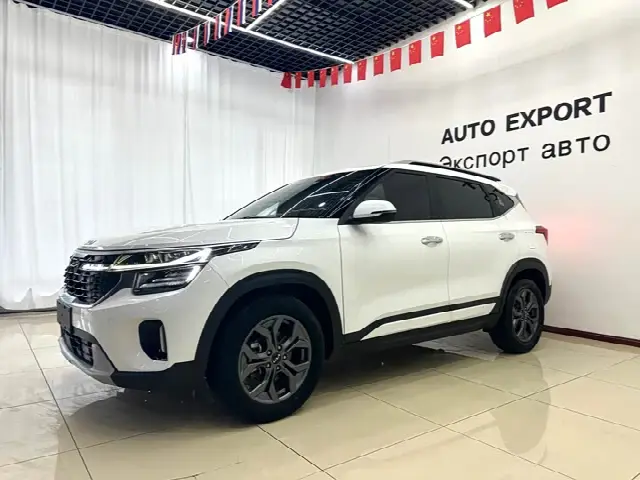 Kia Seltos 2023, 20 000 км