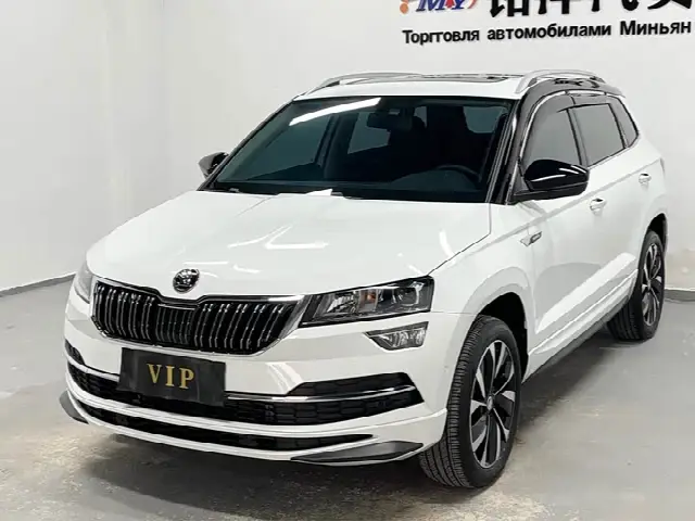 Skoda Karoq 2024, 14 000 км