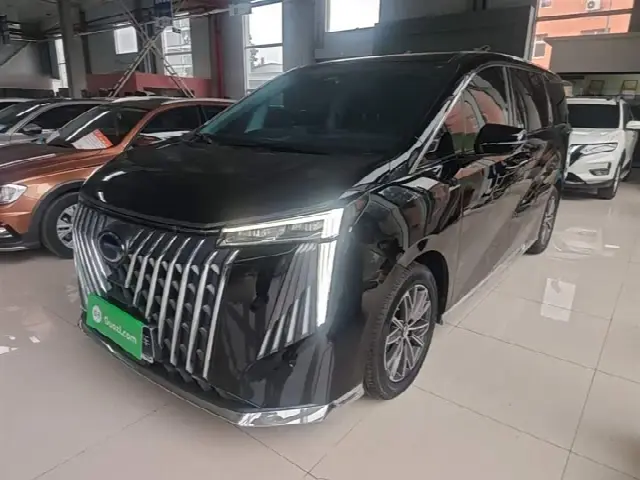 GAC Trumpchi M8 2024, 25 000 км