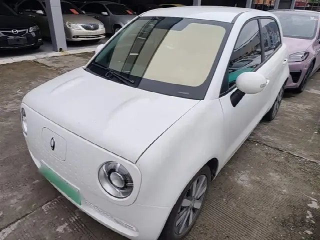 Ora Black Cat 2022, 31 000 км