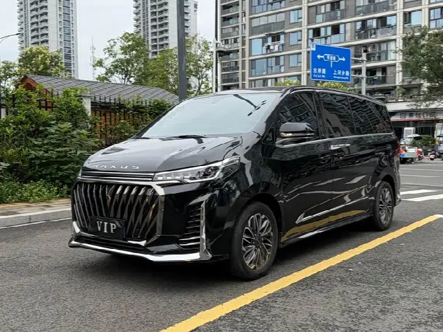 Maxus G20 2023, 48 000 км