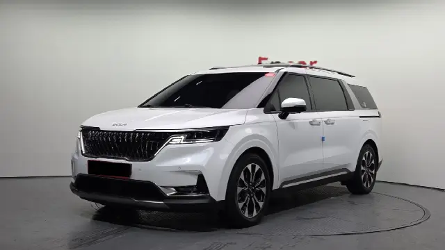 Kia Carnival 2020, 30 794 км