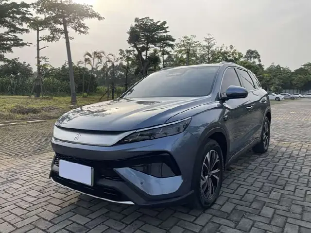 BYD Song Pro Hybrid 2025, 28 000 км