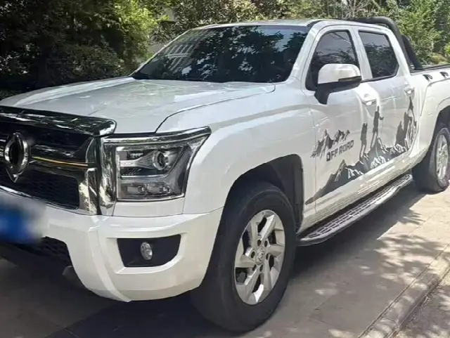 Great Wall King Kong Poer 2023, 29 000 км