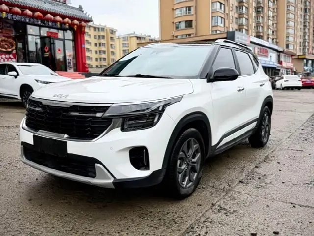 Kia Seltos 2023, 41 000 км