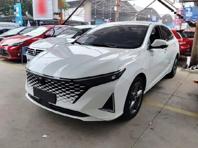 Changan Raeton Plus 2023, 54 400 км