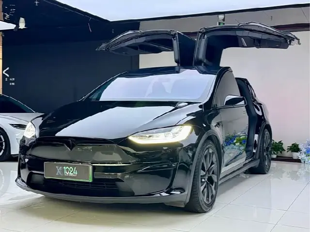 Tesla Model X 2023, 21 000 км