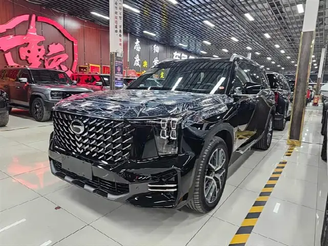 GAC Trumpchi GS8 2025, 100 км