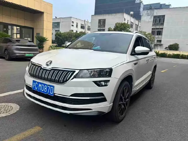 Skoda Karoq 2023, 20 000 км