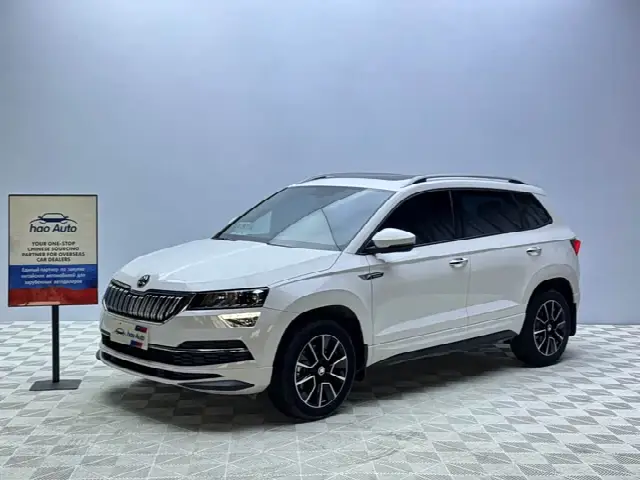 Skoda Karoq 2022, 12 000 км